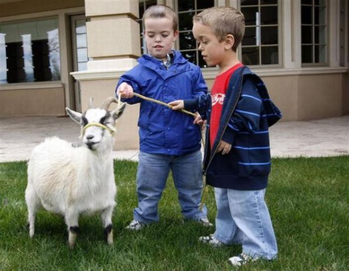 Little People of America (35 pics)