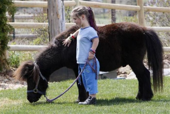 Little People of America (35 pics)