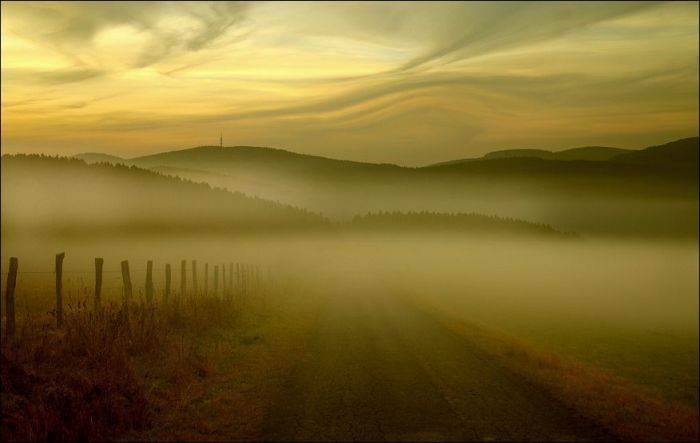 Fields (28 pics)