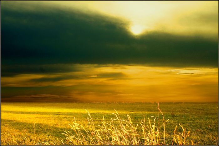 Fields (28 pics)