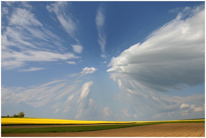Fields (28 pics)