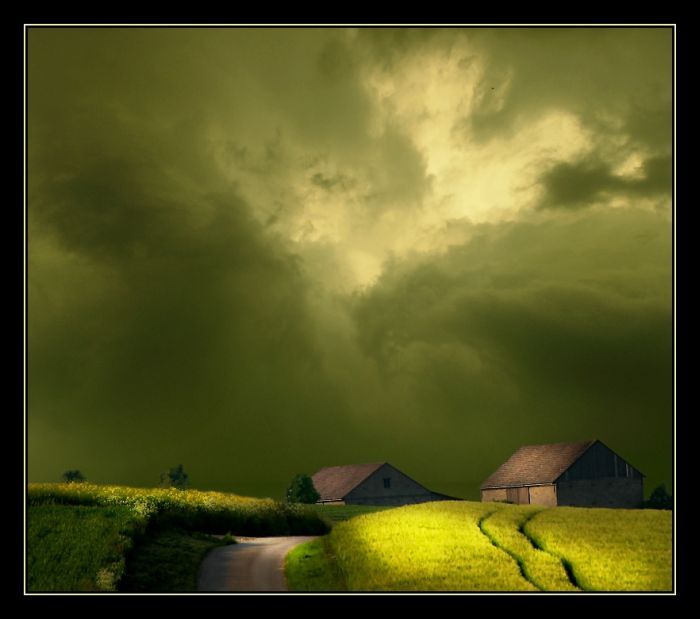 Fields (28 pics)