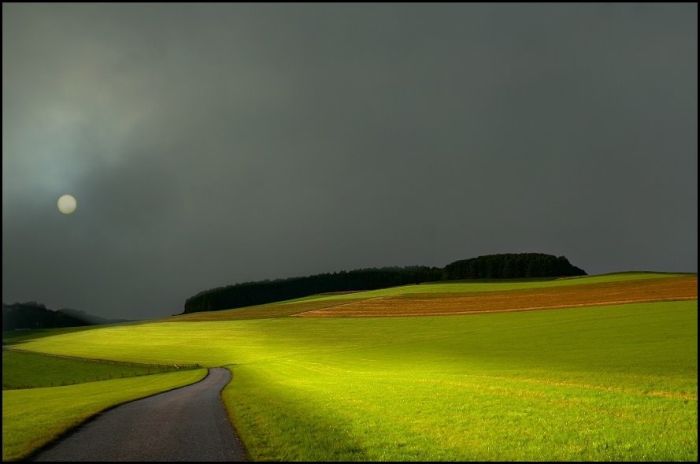Fields (28 pics)