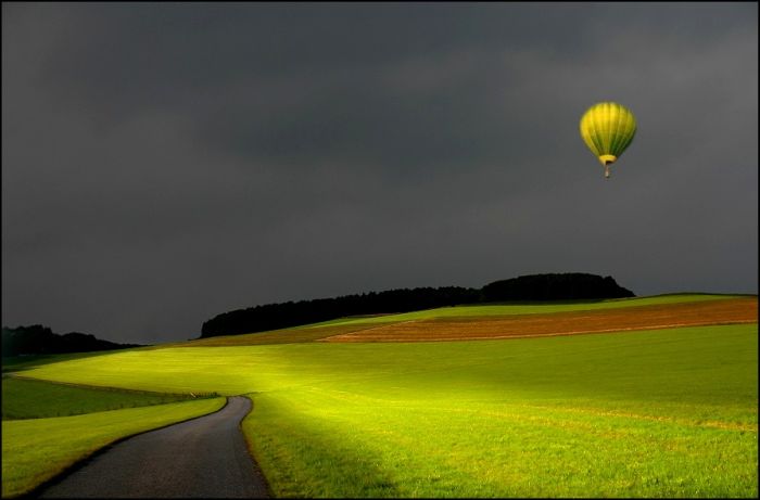 Fields (28 pics)