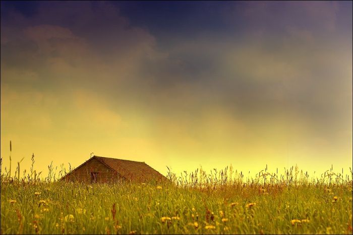 Fields (28 pics)