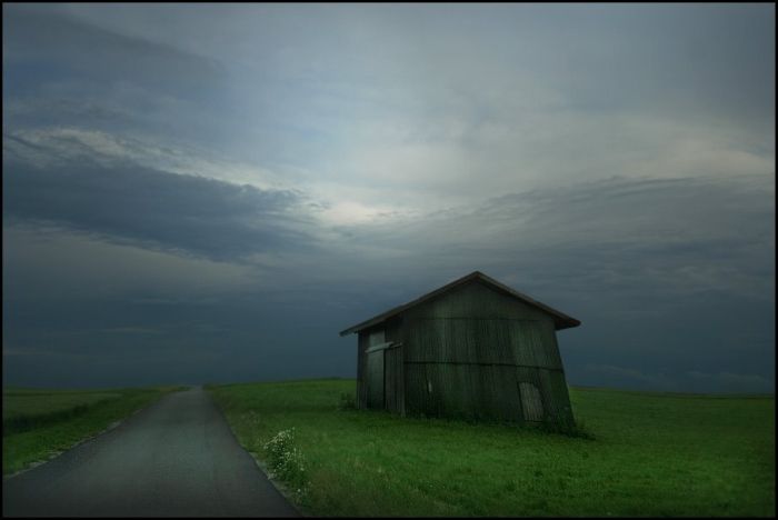 Fields (28 pics)