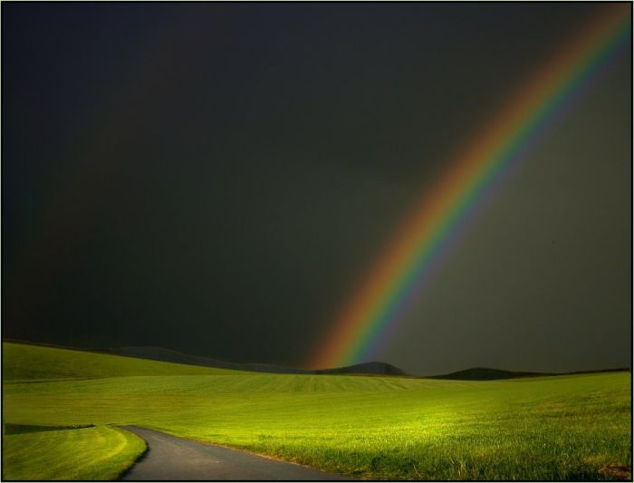 Fields (28 pics)