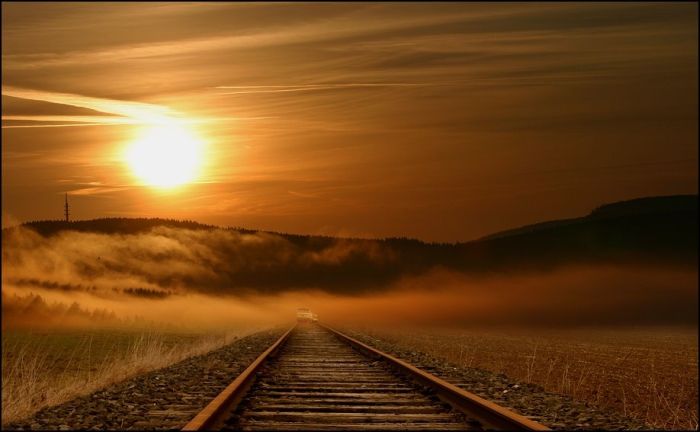 Fields (28 pics)