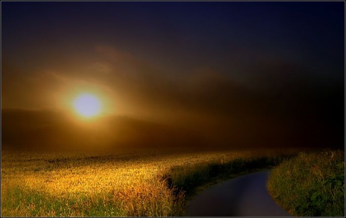 Fields (28 pics)