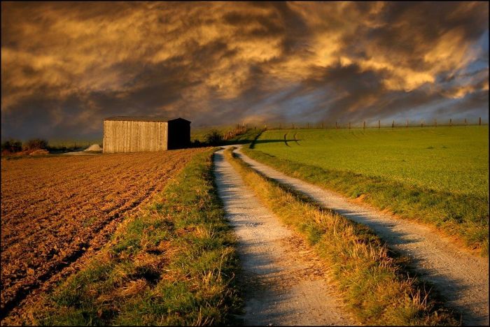 Fields (28 pics)