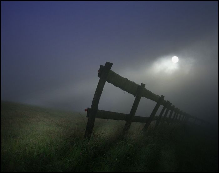 Fields (28 pics)