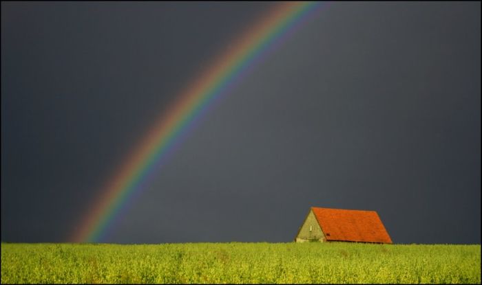 Fields (28 pics)