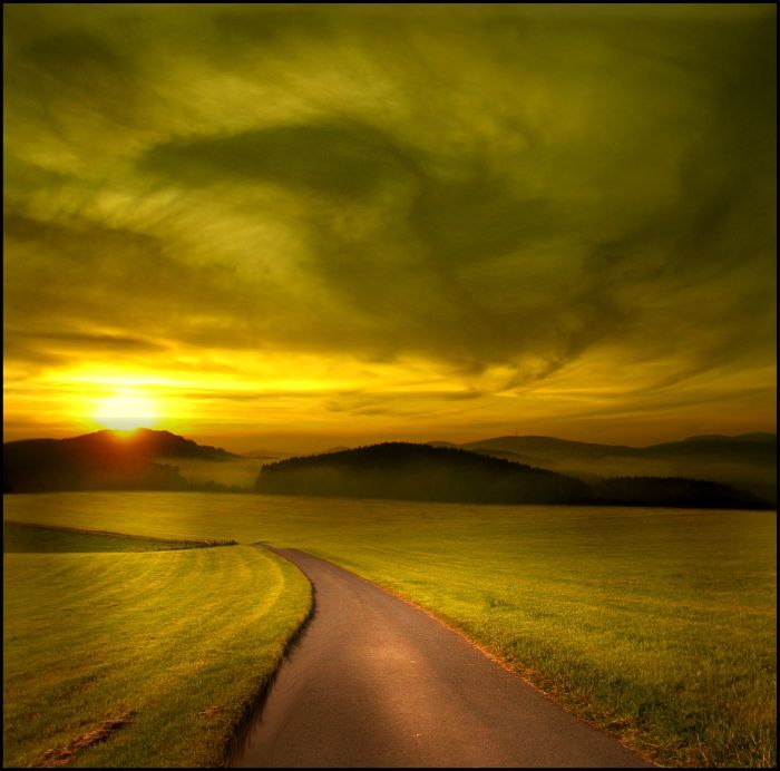 Fields (28 pics)