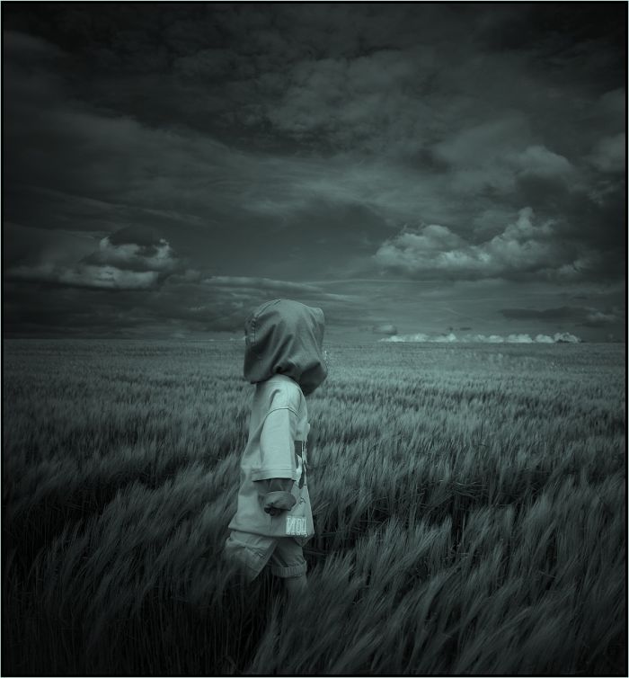 Fields (28 pics)