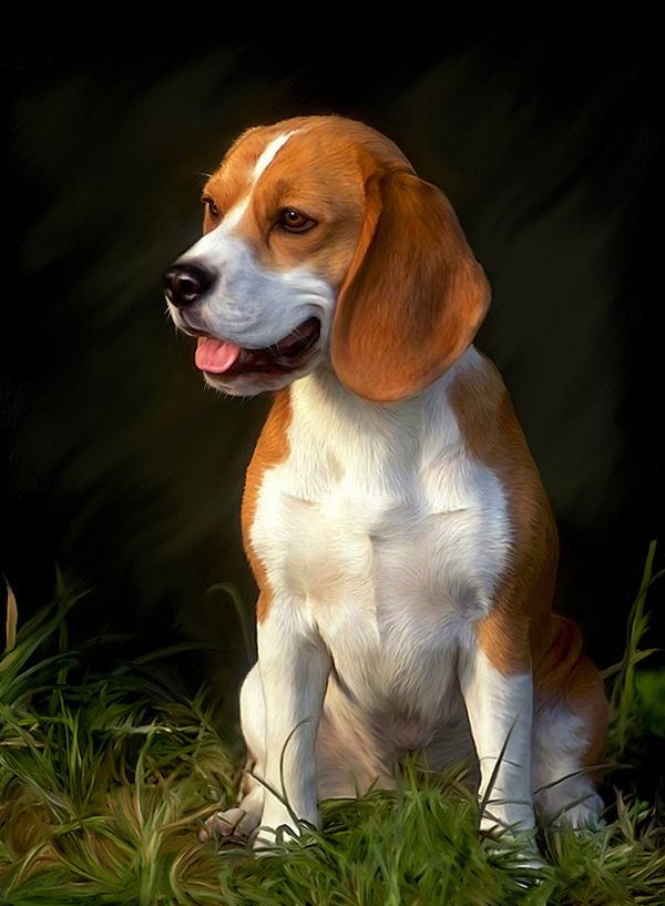 Photorealistic Smudge Paintings (22 pics)