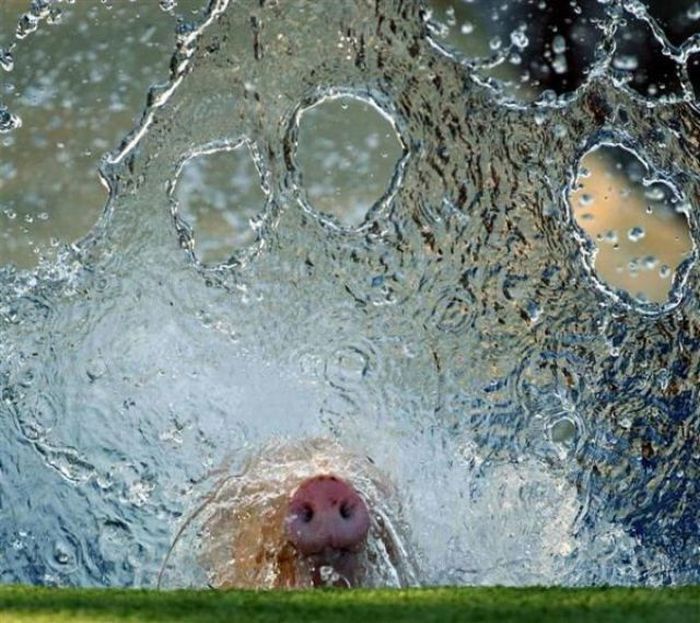 Acid Picdump (152 pics)