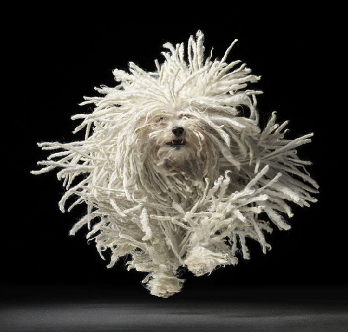 Acid Picdump (152 pics)