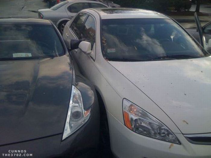 Acid Picdump (152 pics)