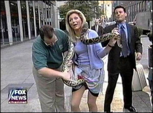 Acid Picdump (152 pics)