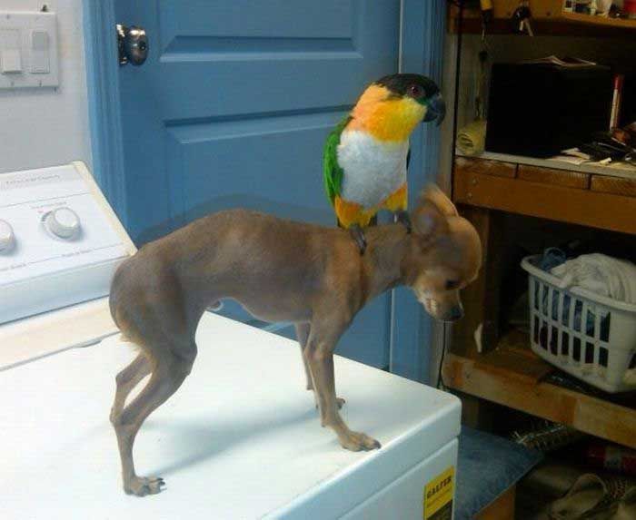 Acid Picdump (152 pics)