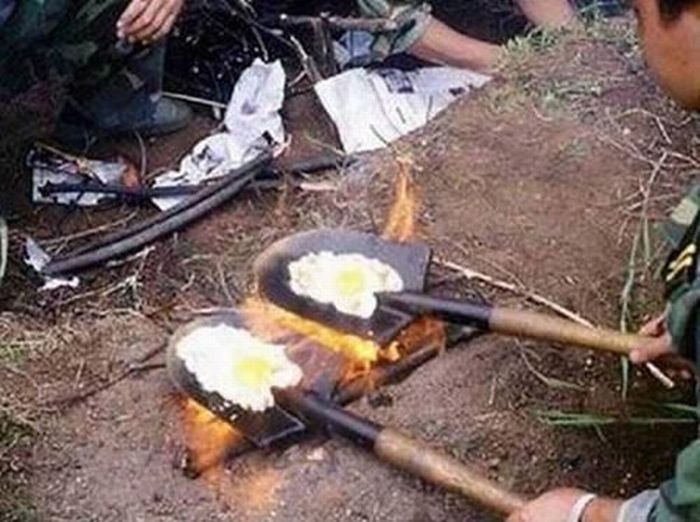 Acid Picdump (152 pics)