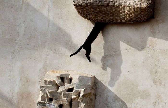 Acid Picdump (152 pics)