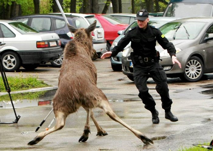 Acid Picdump (152 pics)