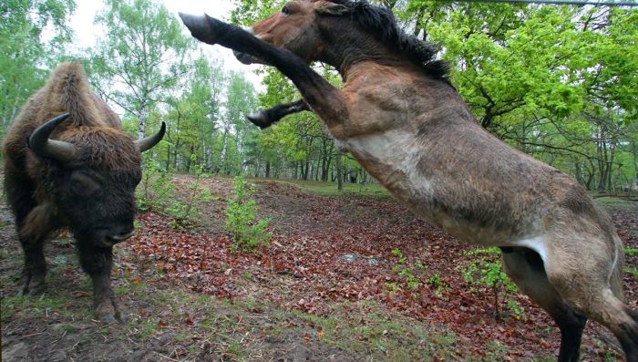 Acid Picdump (152 pics)