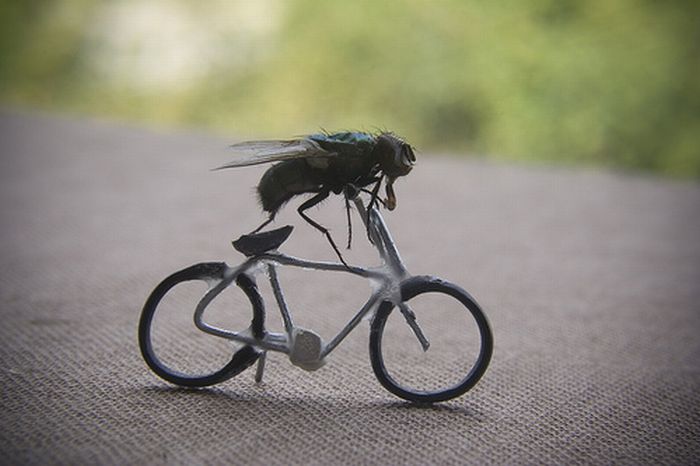 Acid Picdump (152 pics)
