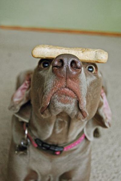 Acid Picdump (152 pics)