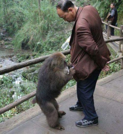 Acid Picdump (152 pics)