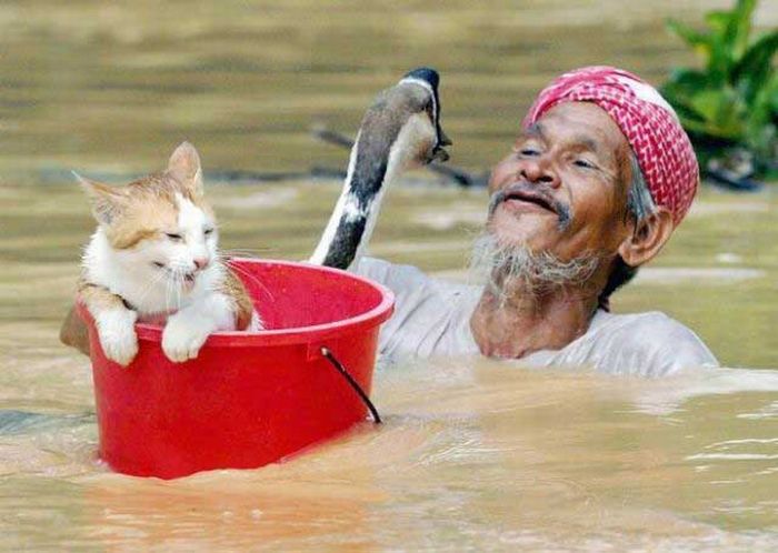 Acid Picdump (152 pics)