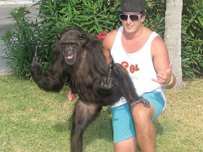 Acid Picdump (152 pics)