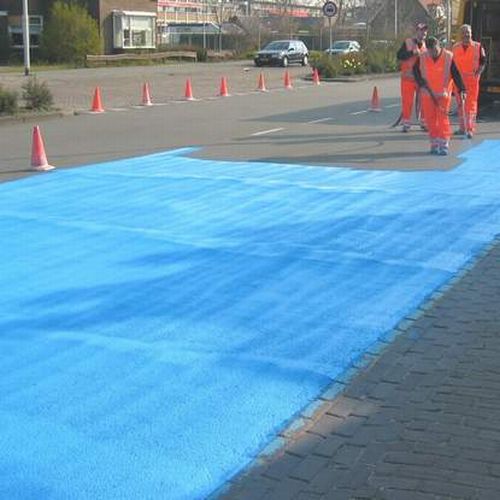 The Blue Road in Netherlands (24 pics)