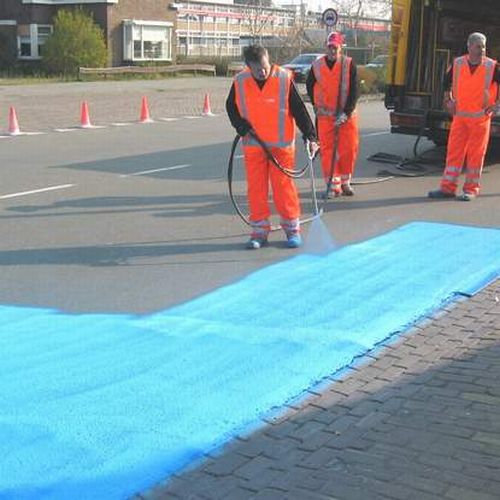 The Blue Road in Netherlands (24 pics)