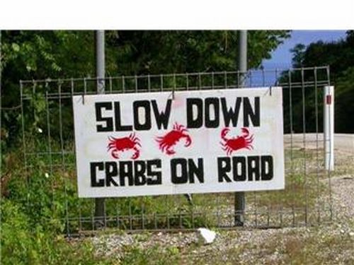 Crab Invasion (20 pics)