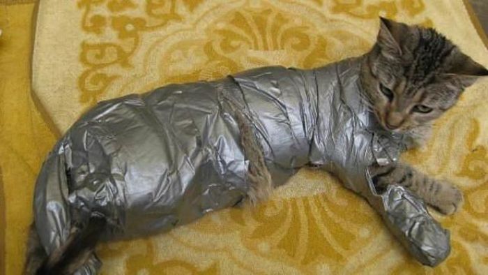 Fun with Duct Tape (45 pics)