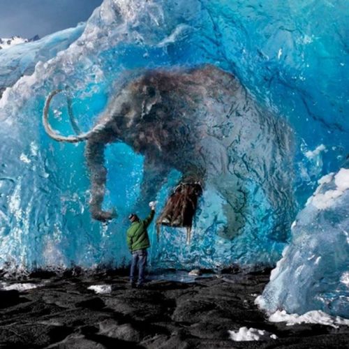 Acid Picdump (166 pics)