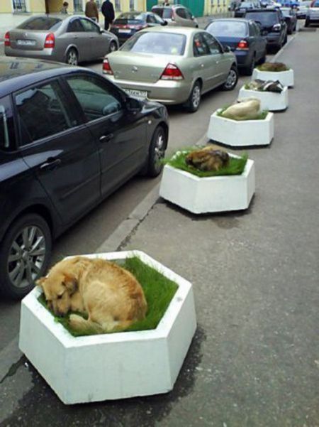 Acid Picdump (166 pics)