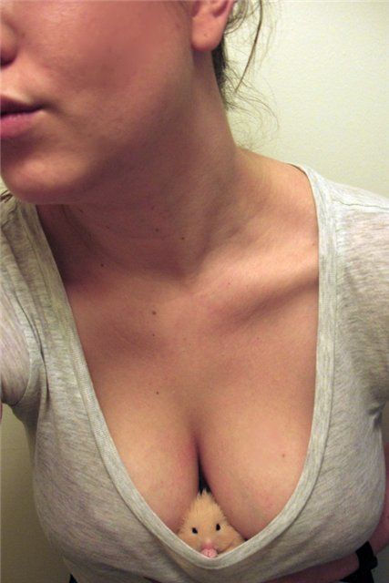 Acid Picdump (166 pics)