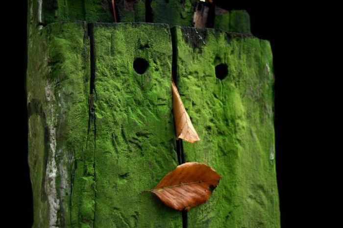 Acid Picdump (166 pics)