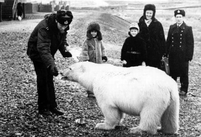 Acid Picdump (166 pics)
