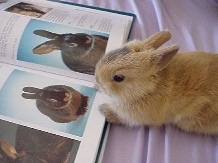 Acid Picdump (166 pics)