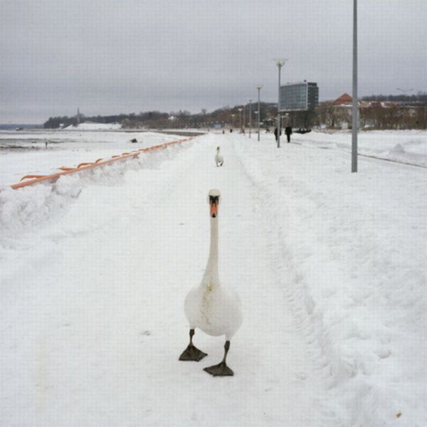 Acid Picdump (166 pics)