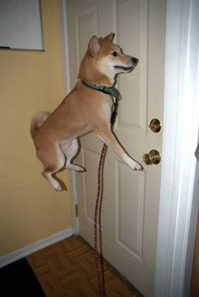 Acid Picdump (166 pics)