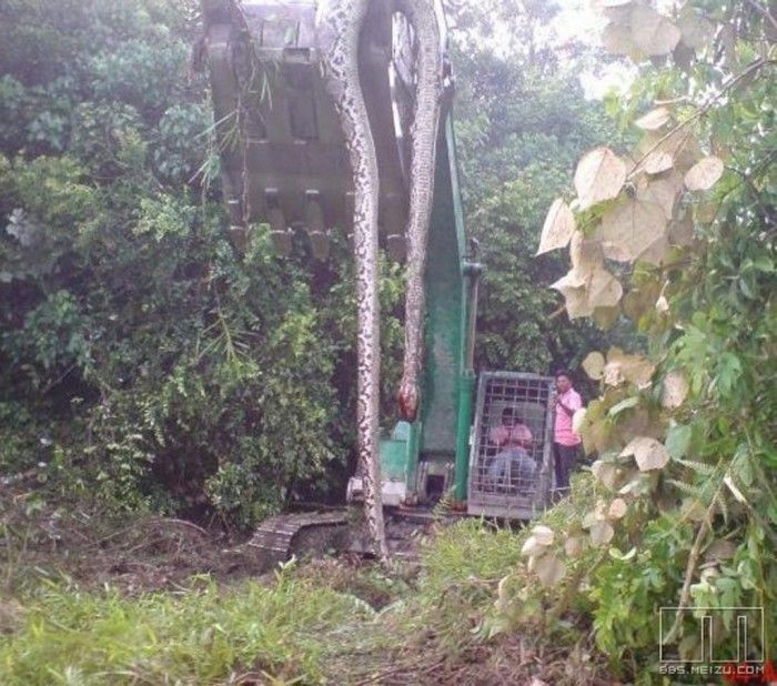 Acid Picdump (166 pics)