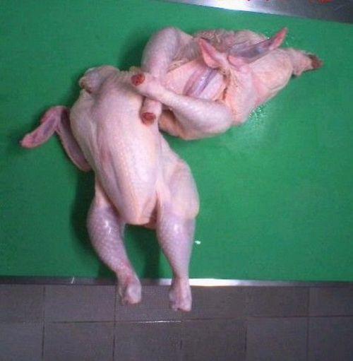 Acid Picdump (166 pics)