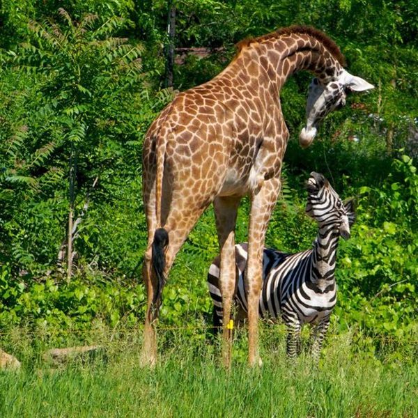 Acid Picdump (166 pics)