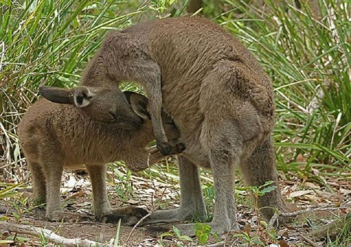 Acid Picdump (166 pics)