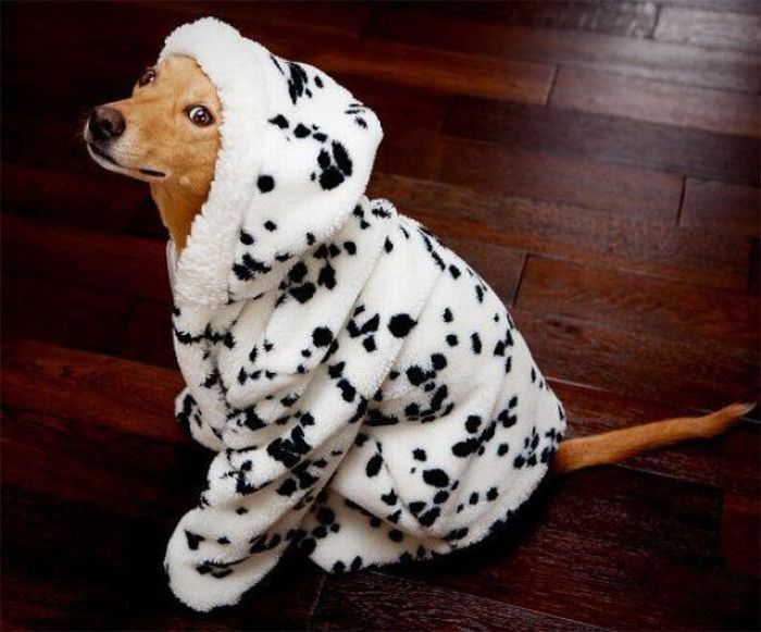 Acid Picdump (166 pics)